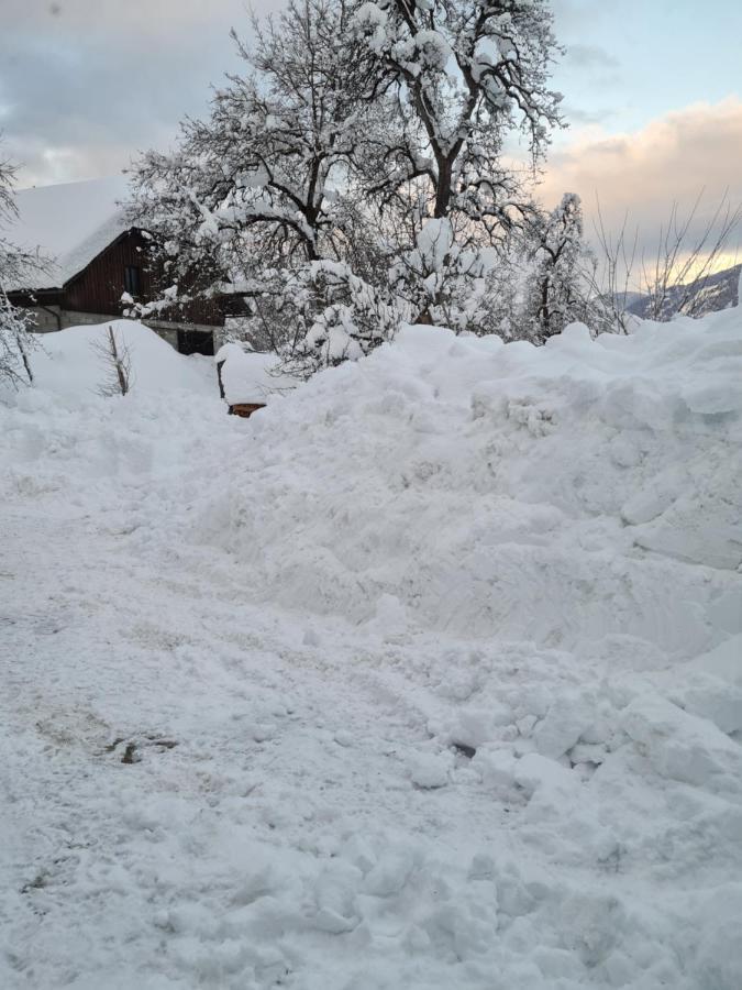 Ferienwohnung Salburg,Troepolach エクステリア 写真