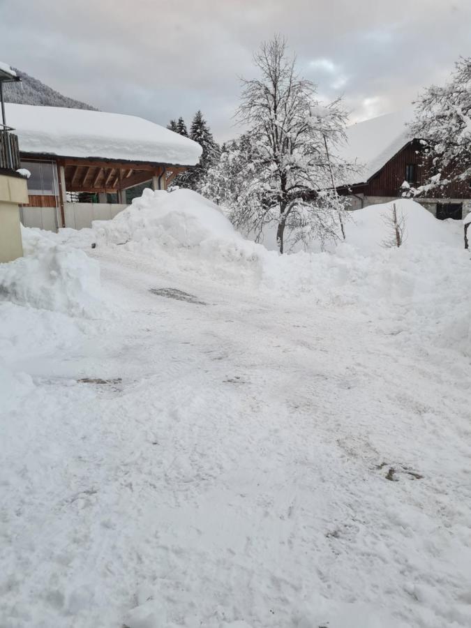 Ferienwohnung Salburg,Troepolach エクステリア 写真